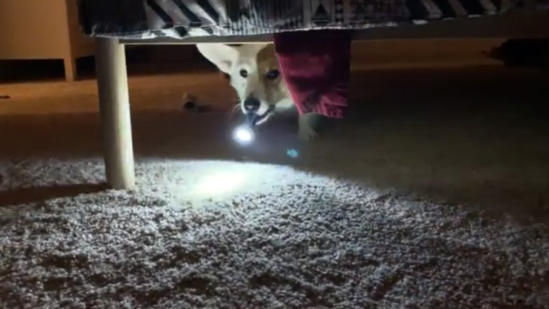 Ο εξερευνητής με τον φακό του