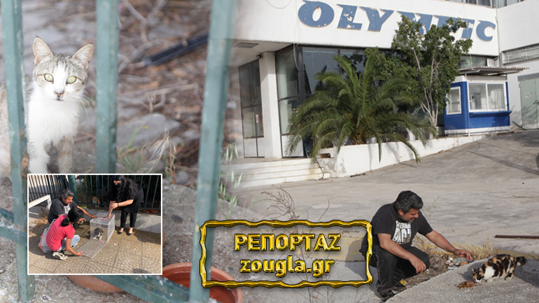 Αγωνία για τα εκατοντάδες ζώα στο πρ. αεροδρόμιο Ελληνικού ενόψει των έργων – Αυτοψία του zougla.gr