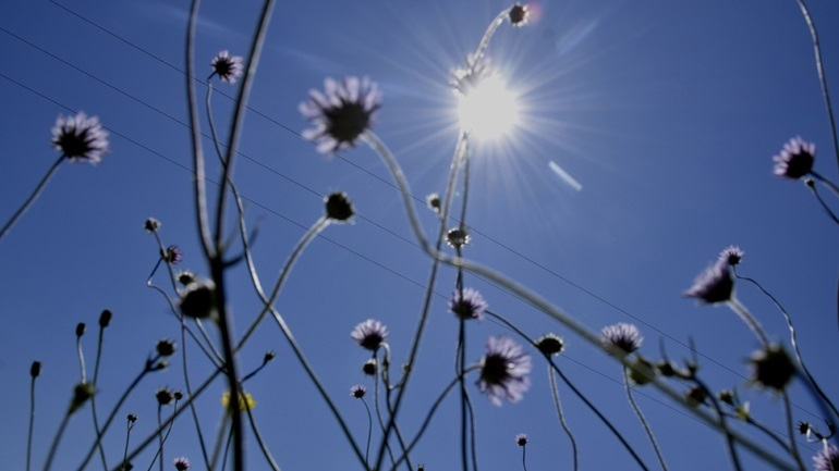 Ο καιρός σήμερα