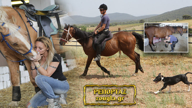 Οι γητευτές των αλόγων μας μυούν στα μυστικά του πιο πιστού συνοδοιπόρου της ανθρωπότητας
