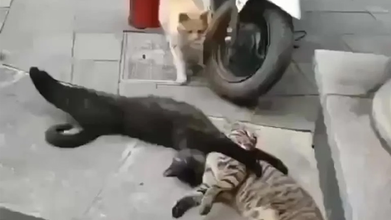 Τoν έπιασε με άλλη