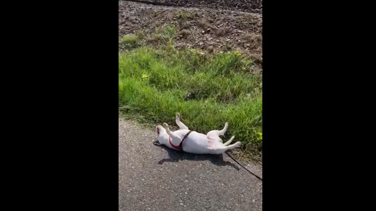 Απολαμβάνοντας τον ήλιο