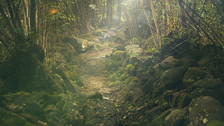 Ρώσος κρύφτηκε με τα παιδιά του στο δάσος για να σωθεί από τον κορωνοϊό