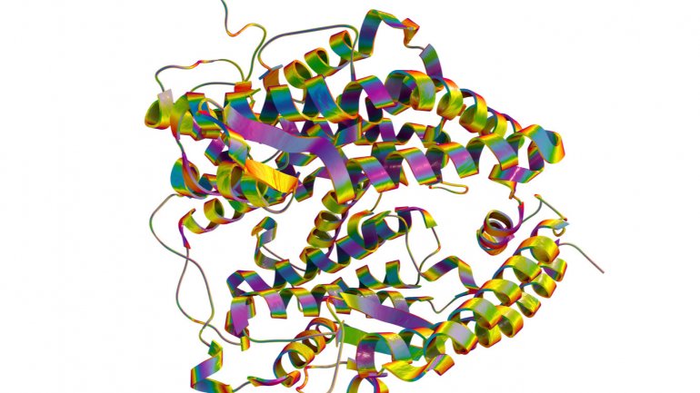 ACE2: Το μόριο που βοηθά τον κορωνοϊό να εισβάλει στα κύτταρα μας