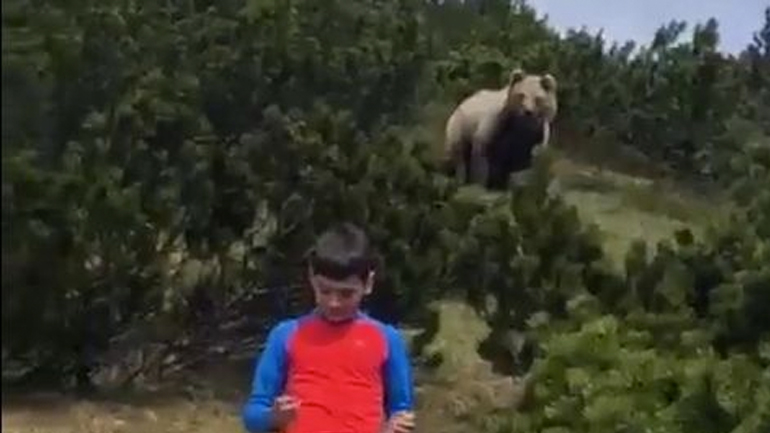 Μια αρκούδα εμφανίζεται πίσω από ένα παιδί