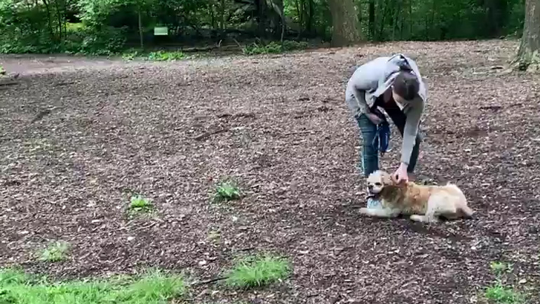 Ρατσιστική συμπεριφορά προς άνδρα που ζητά από γυναίκα να βάλει λουρί στον σκύλο της