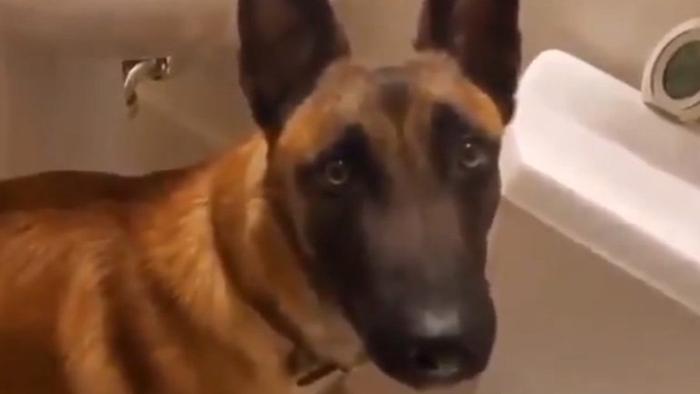 Μαλινουά χρησιμοποιεί την τουαλέτα