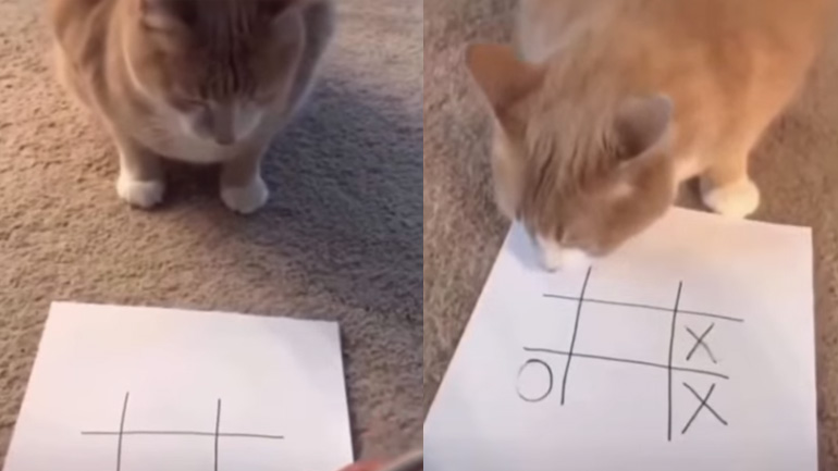 Απαγορεύονται οι χειρονομίες