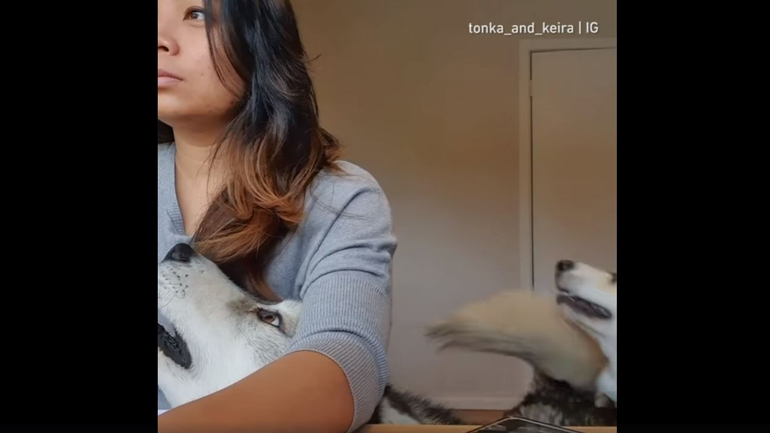 «Σταμάτα να δουλεύεις και δώσε μας σημασία!»