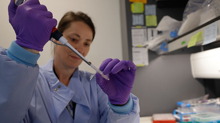 Βόρεια Μακεδονία: Αίρονται οι περιορισμοί σχετικά με την κυκλοφορία των πολιτών