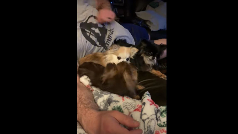 Αδερφικός καβγάς…