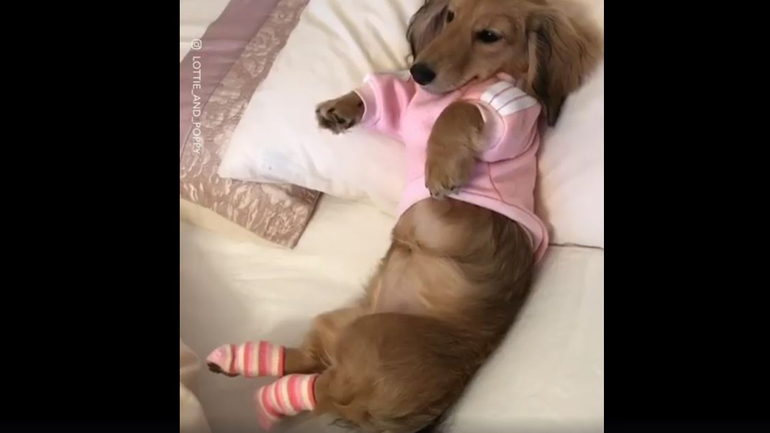 Ώρα για χουχούλιασμα!