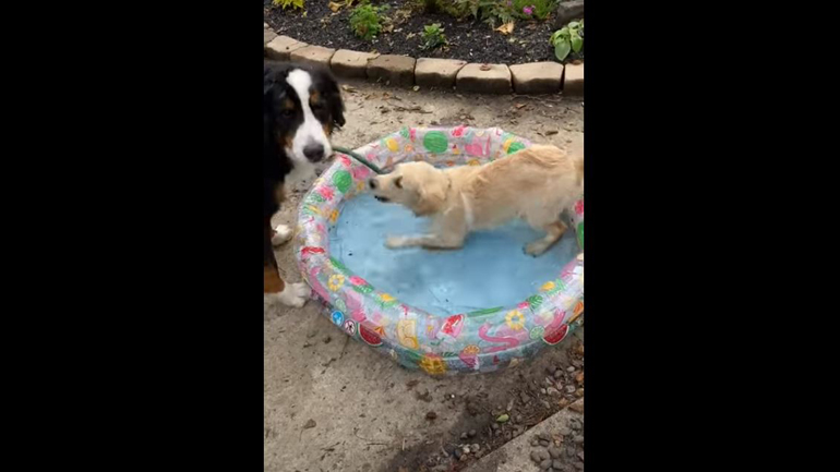 «Αυτή η πισίνα πλέον μου ανήκει!»