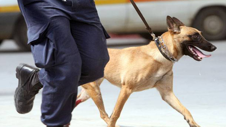 Ο σκύλος μύρισε την κάνναβη που μετέφεραν δύο νεαροί τουρίστες στη Ρόδο