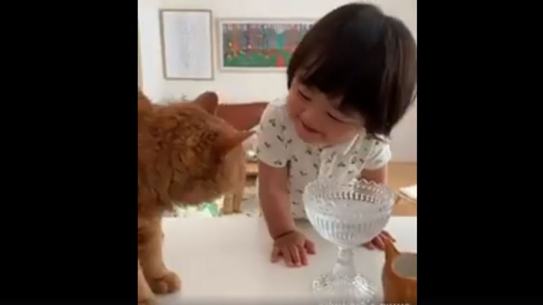 Κοριτσάκι νομίζει πως είναι γάτα