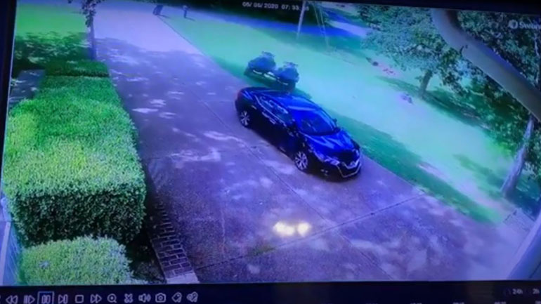 Γκαφατζής υψηλού επιπέδου