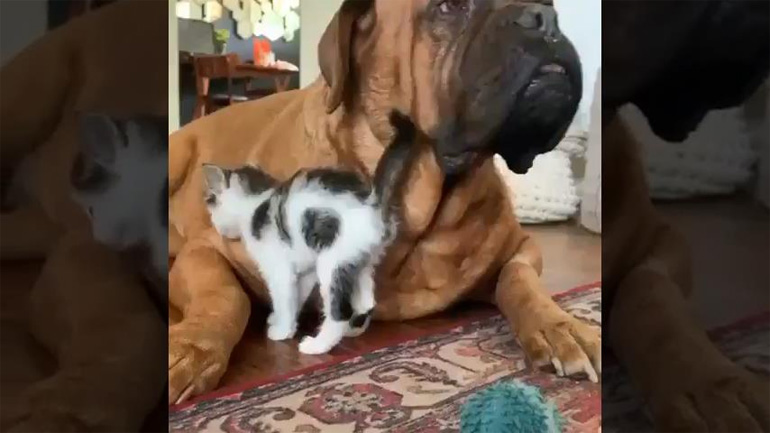 To πιο άνετο σημείο για έναν ύπνο