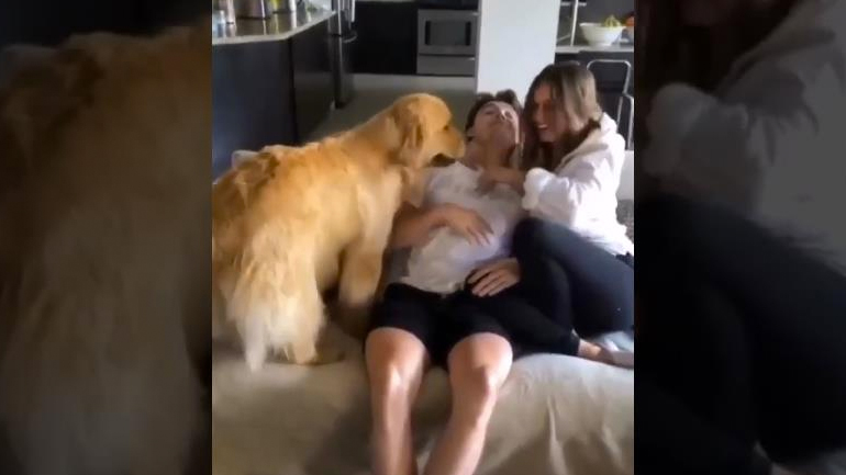 Ο ζηλιάρης σκύλος