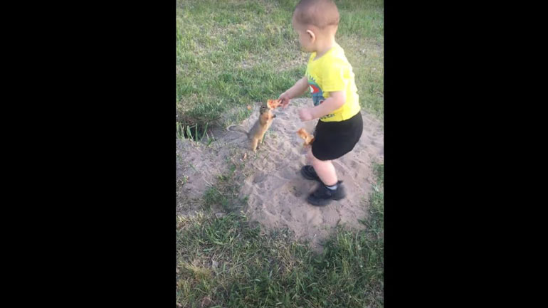 Πιτσιρίκι ταΐζει σκίουρο πίτσα