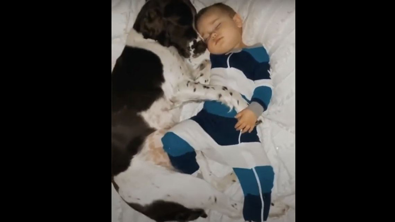 Μωρό κοιμάται αγκαλιά με τον σκύλο του