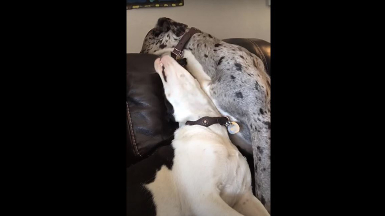 «Μην με ενοχλείς!»