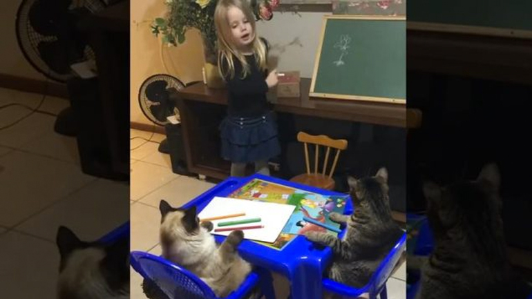 Ένα κορίτσι μαθαίνει ζωγραφική στις γάτες