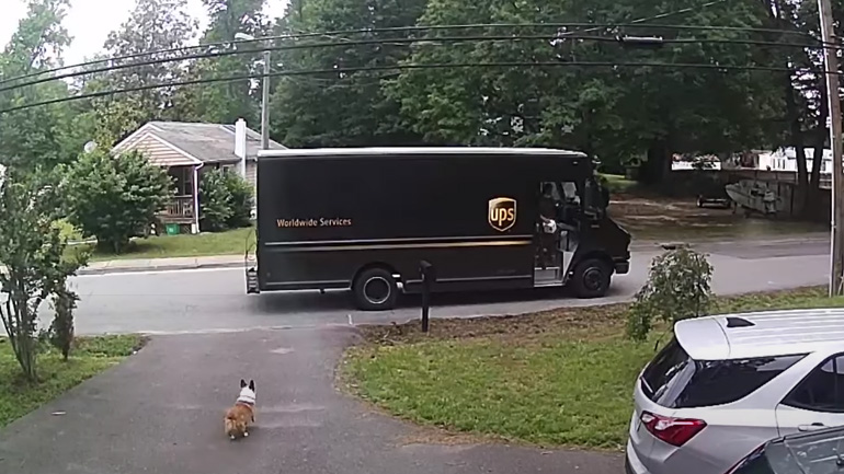 Σκύλος θέλει να πάει βόλτα με ένα βαν