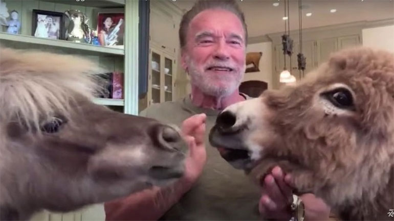 H Κ.Τζένερ και ο A. Σβαρτσενέγκερ συγκέντρωσαν τις περισσότερες αναζητήσεις στο Google την περίοδο της καραντίνας