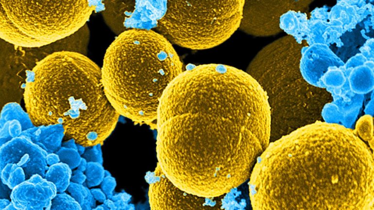 Ένα νέο όπλο στον πόλεμο κατά των superbugs