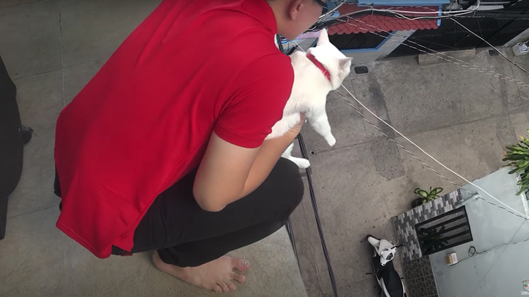 Ελεύθερη πτώση μαζί με τη γάτα