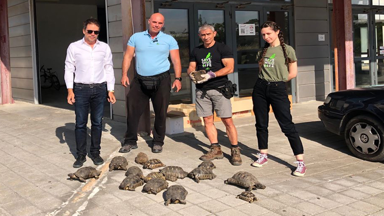 Η ΑΝΙΜΑ ανέλαβε τη διάσωση της άγριας πανίδας του πρώην αεροδρομίου του Ελληνικού