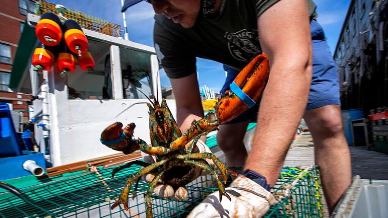 Ο Τραμπ απειλεί με δασμούς τα ευρωπαϊκά αυτοκίνητα αν η ΕΕ δεν άρει τους δασμούς στους αμερικανικούς… αστακούς