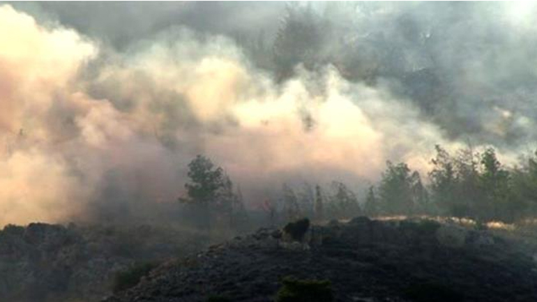 Μεγάλη πυρκαγιά στα κατεχόμενα – Βοήθεια ζήτησε ο Ακιτζί από την Κύπρο