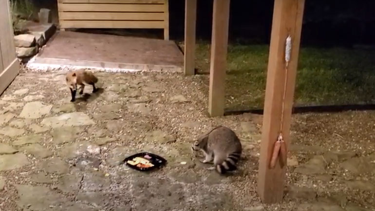 Μια απροσδόκητη συνάντηση…