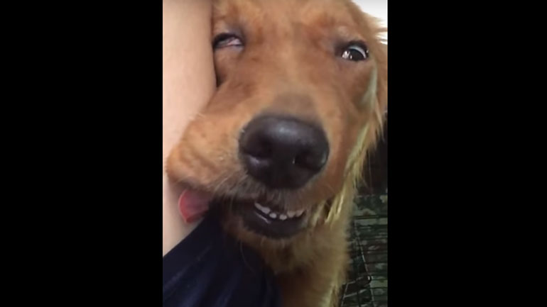 Μια στιγμή απόλυτης χαλάρωσης