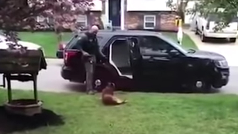 Αυτός ο αστυνομικός σκύλος Κ9 βαριόταν να πάει στην υπηρεσία – Πώς τον έπεισε ο συνάδελφός του