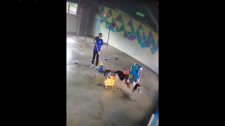 Σκύλος με τρόπους!