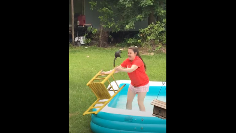 Απόπειρα διάσωσης στέφεται με απόλυτη… αποτυχία