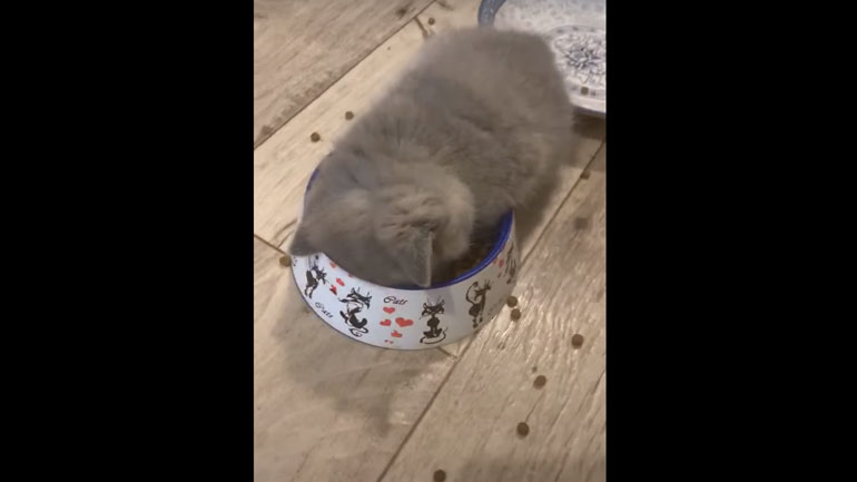 Όταν η κούραση ξεπερνάει την πείνα