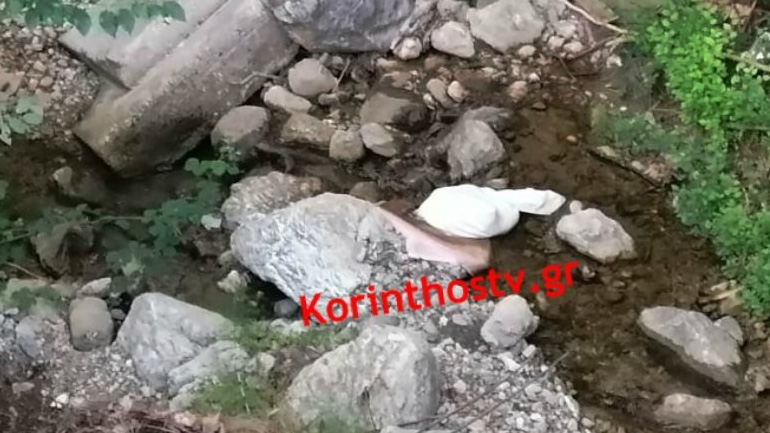 Πέταξαν σακούλα με νεογέννητα κουτάβια σε ρέμα στο Γυμνό Αργολίδας