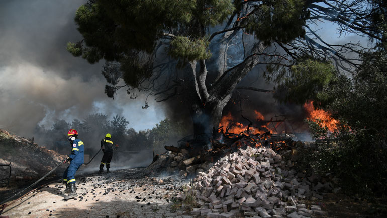 Πυρκαγιά σε εξέλιξη στη Χαλκιδική