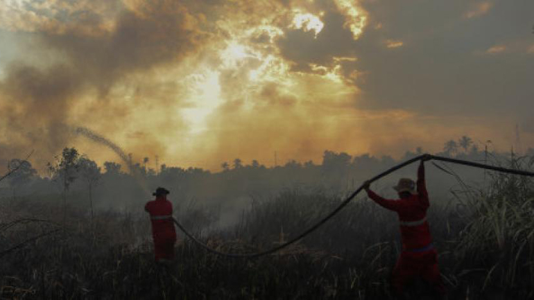 Πυρκαγιά ξέσπασε στο Άλσος Βεϊκου