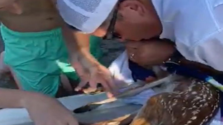 Τέξας: Έσωσαν μικρό ελάφι με τεχνητή αναπνοή