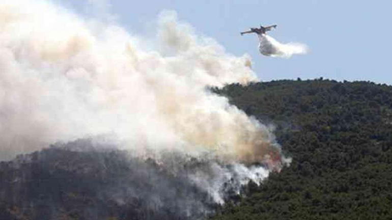 Μεγάλη πυρκαγιά σε δάσος του Αγίου Όρους