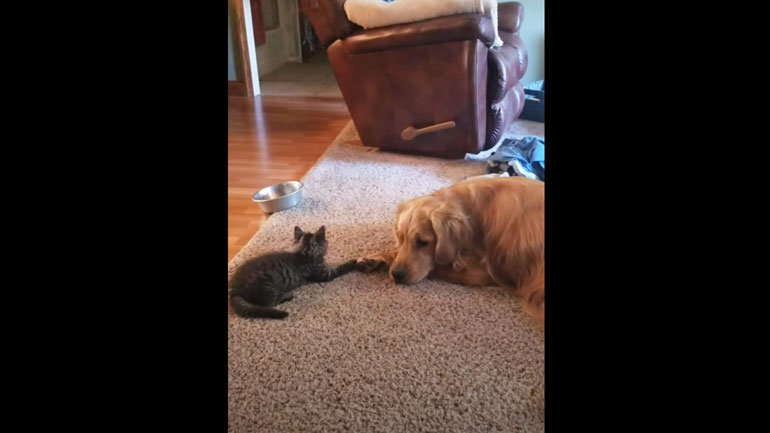 Φίλοι με την πρώτη ματιά!