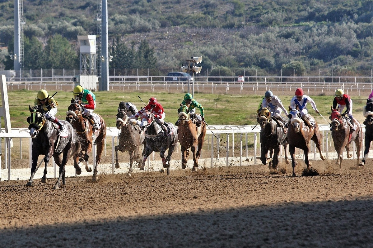 Ρεκόρ συμμετοχών τη Δευτέρα με 85 καθαρόαιμους ίππους