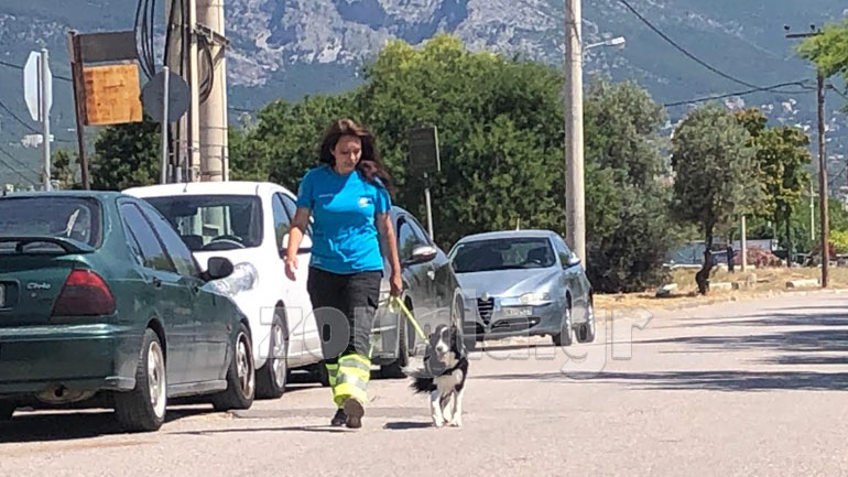 Ο σκύλος που χρησιμοποιήθηκε στις έρευνες από το Χαμόγελο του Παιδιού