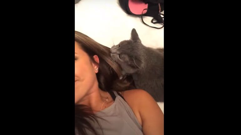 Γάτα ή βούρτσα για τα μαλλιά;