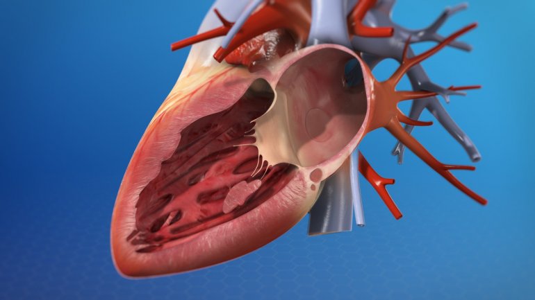 Διαδερμική αντικατάσταση της αορτικής βαλβίδας: Όλα όσα πρέπει να γνωρίζουμε