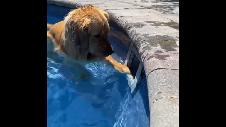 Μια έκφραση απόλυτης απογοήτευσης…